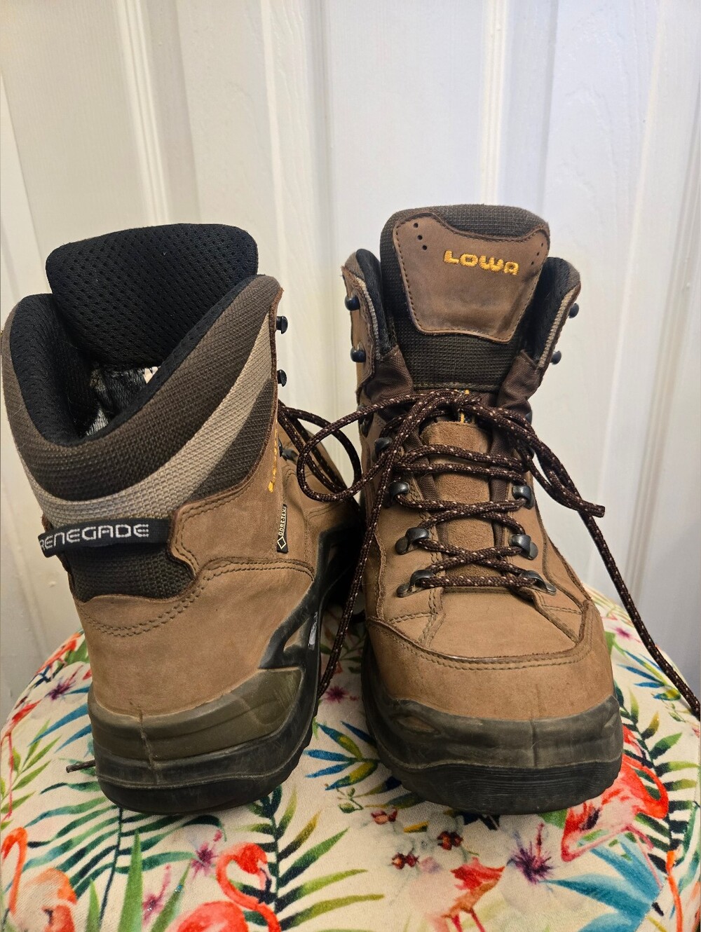 Lowa Renegade GTX Mid Hiking Boots